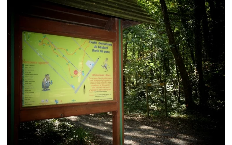 Forêt domaniale de Bastard