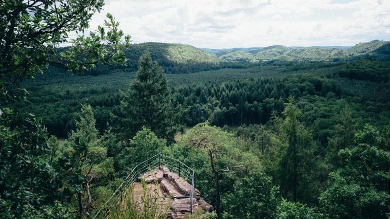 Réserve naturelle des rochers et tourbières du pays de Bitche