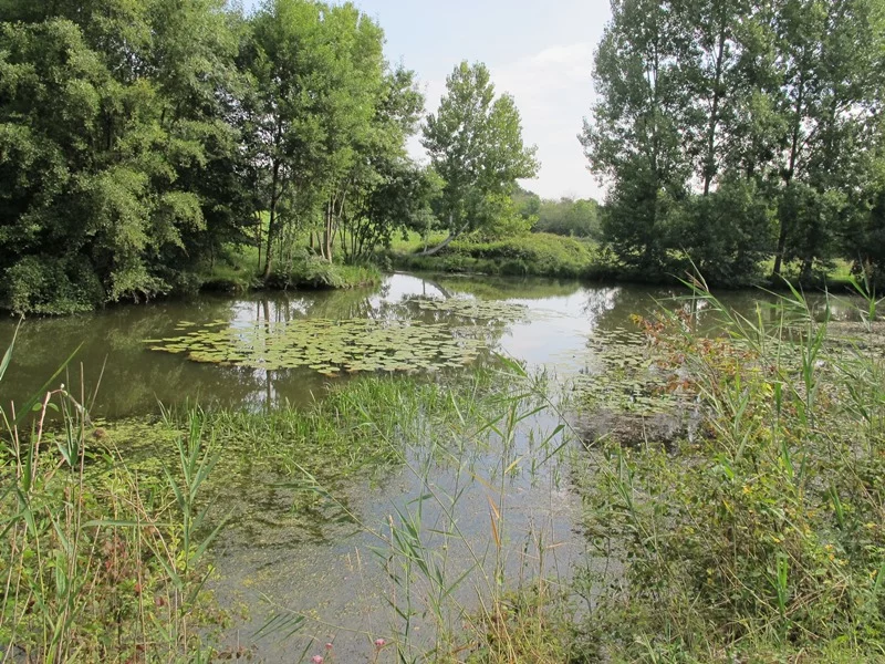 Les prés du canal