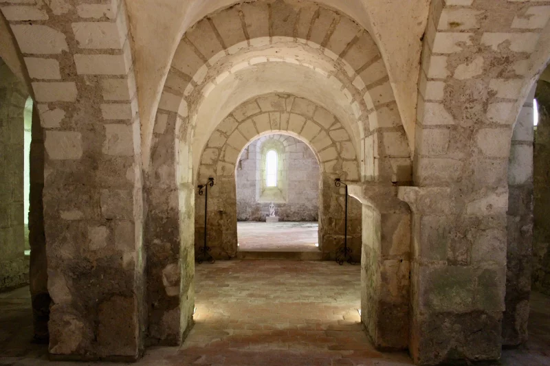 Collégiale Saint-Martin et sa Crypte