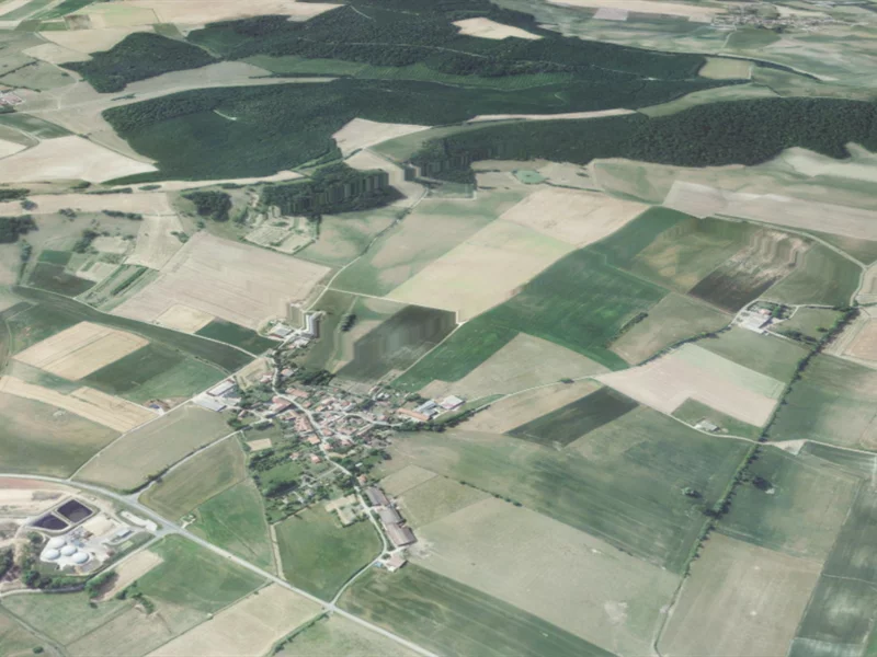 Forêt domaniale de Bride