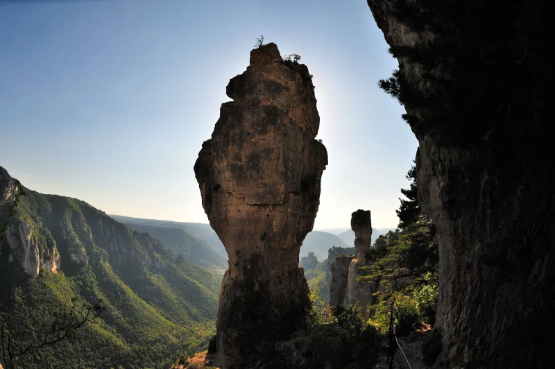 VASE DE CHINE