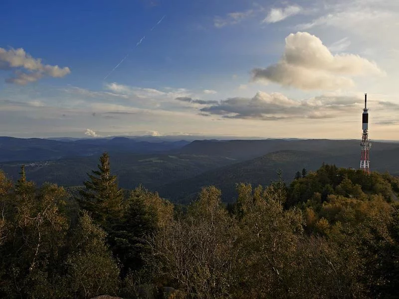 La forêt domaniale du Donon