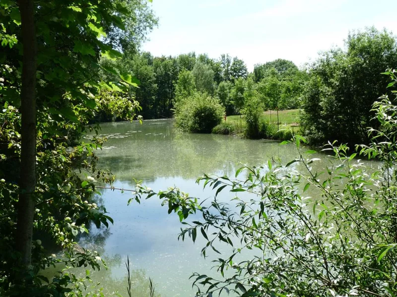Étang d'Asfeld