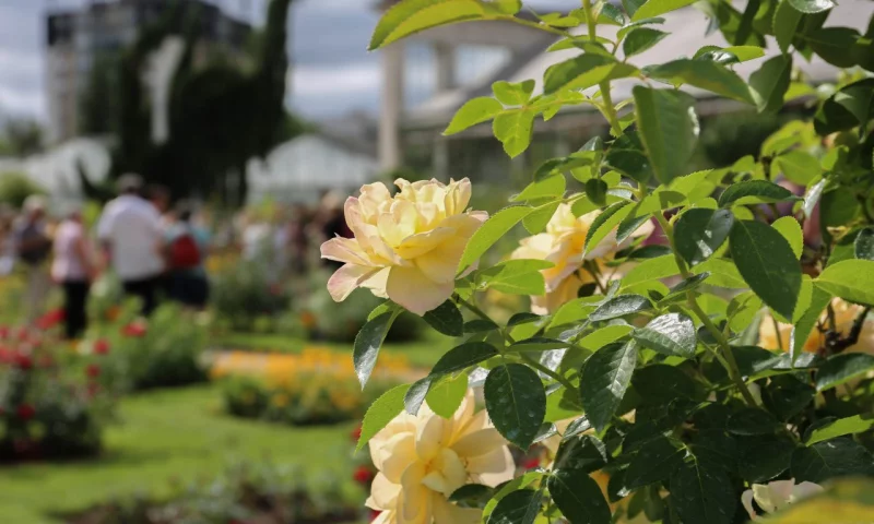 Le Jardin des Plantes