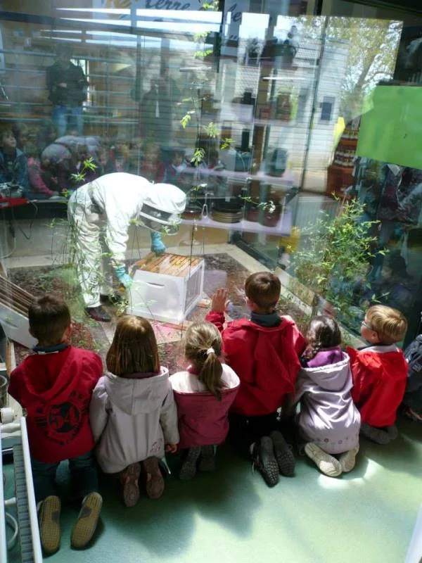 Maison des Abeilles