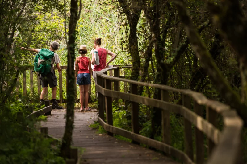 Réserve Naturelle Régionale du Marais de Bonnefont