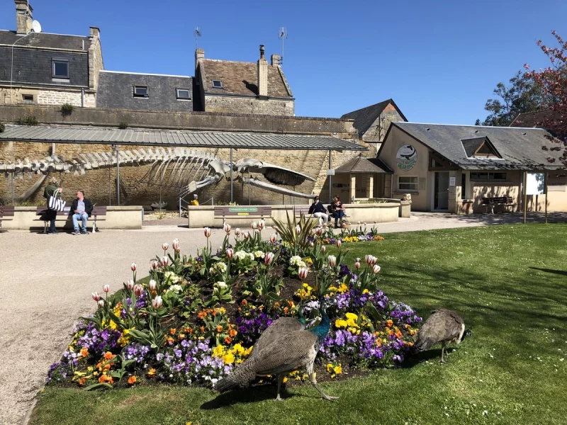 Parc de la Baleine