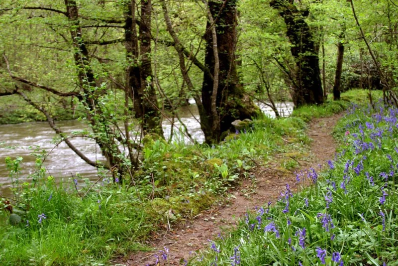 Les Gorges de la Voueize