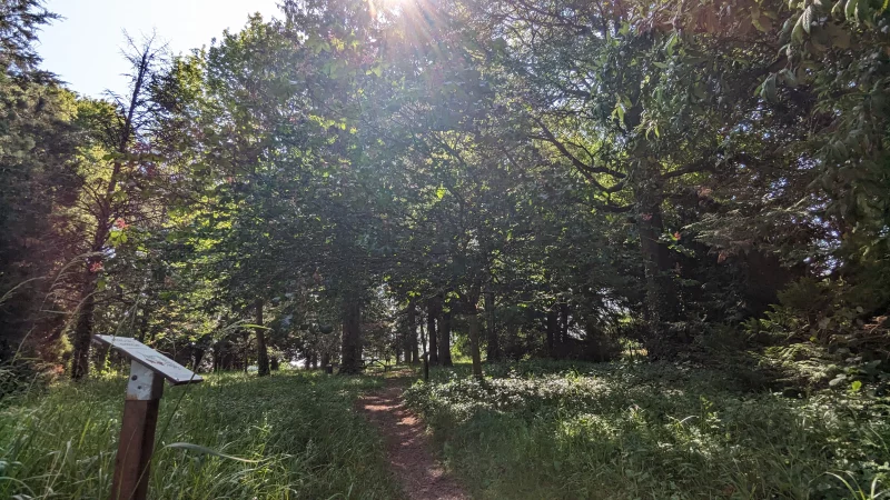 Arboretum de Brienne-le-Château