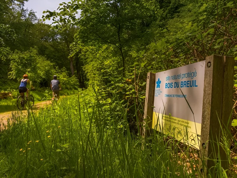 Le bois du Breuil