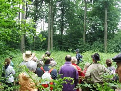 Forêt de la Papiermühle