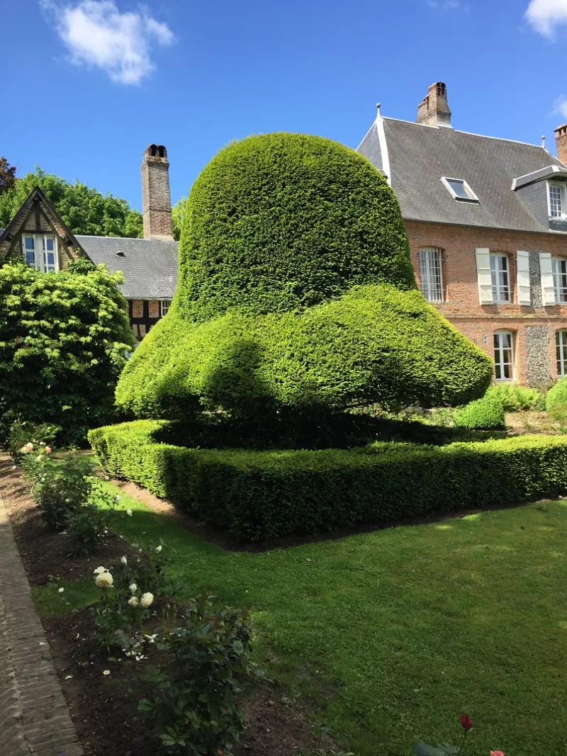 Jardin des Ifs