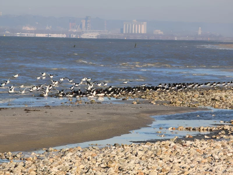Plage de Pennedepie