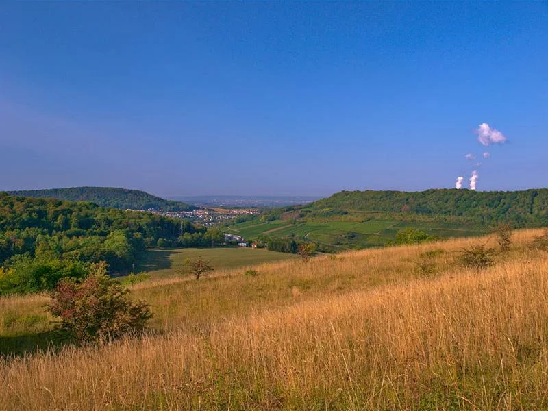 Réserve naturelle de hammelsberg