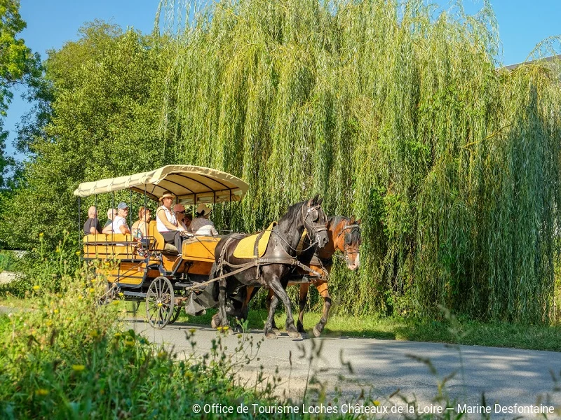 Visite en calèche - Loches et Beaulieu-lès-Loches