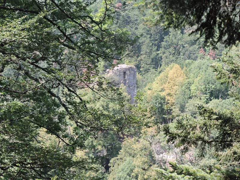 Maison de la nature Bruche Piémont