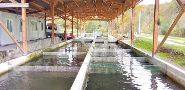 Pisciculture d'Estaing