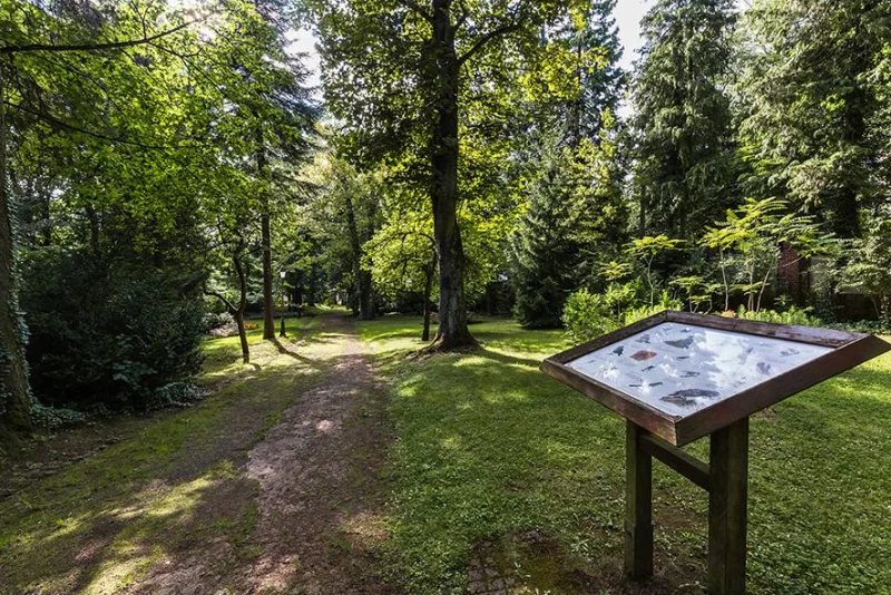 Parc du Château de Nilvange