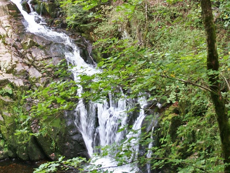 Cascade du Saut du Bouchot