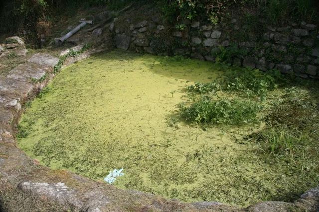 La fontaine et le lavoir du Bourg