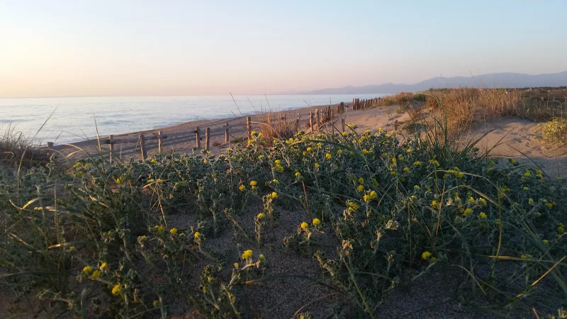PLAGE NORD