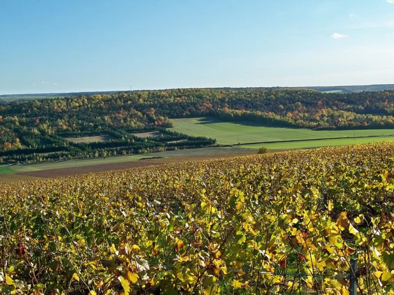 Colline de Montgueux