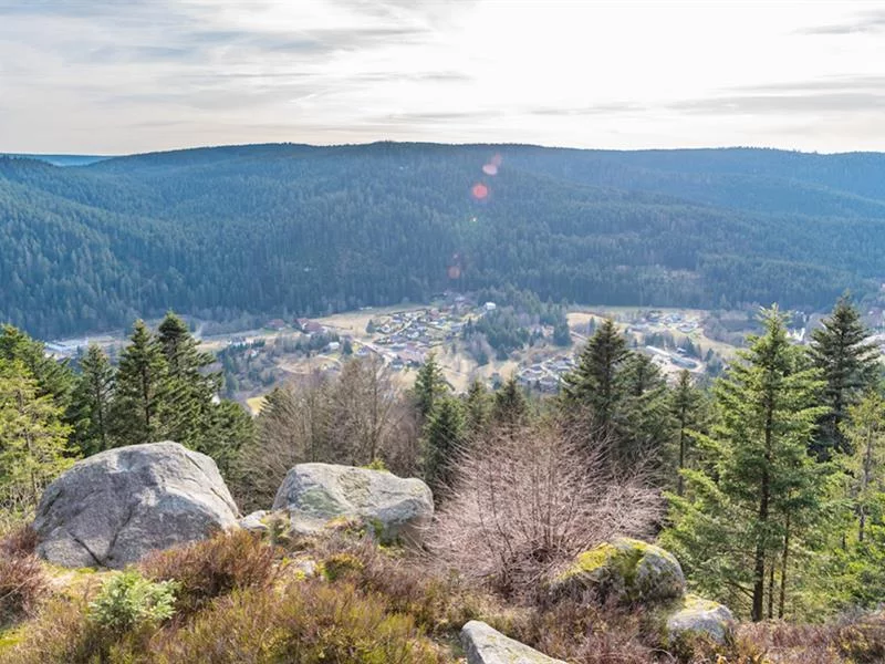 La roche Morand