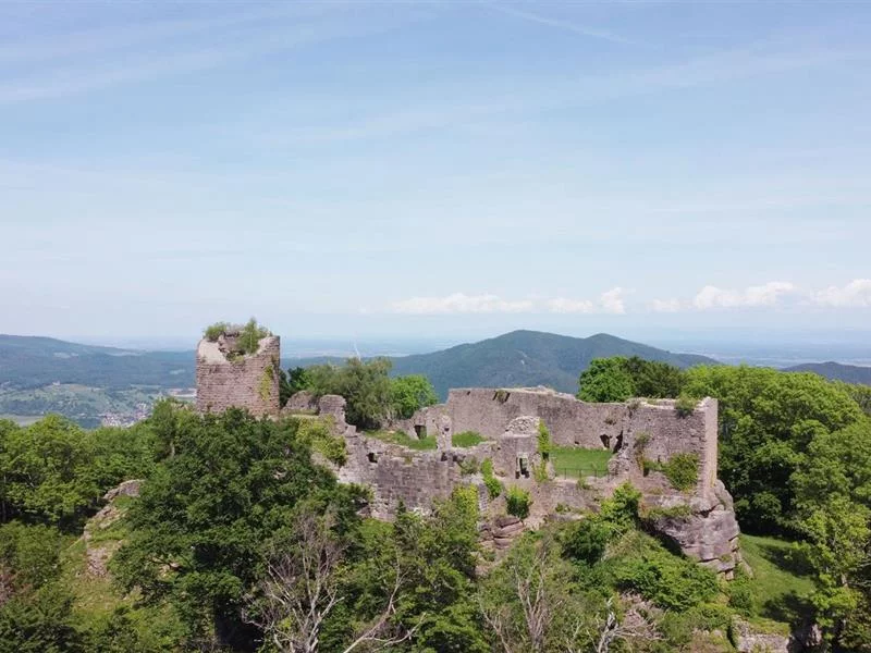 Château du Frankenbourg