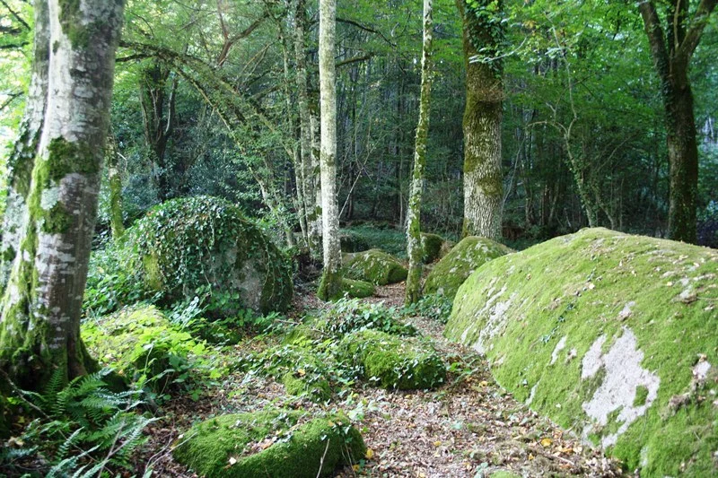 Parc des Parelles