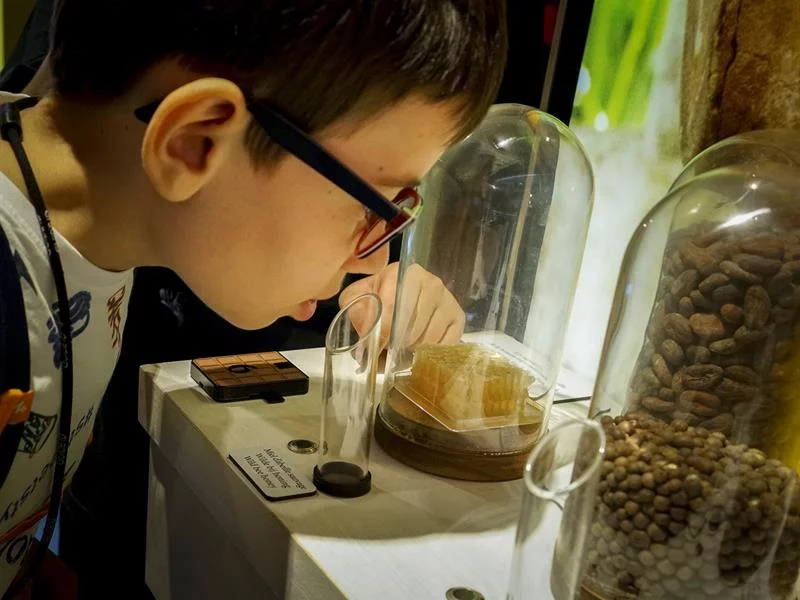 Choco Story - Musée Gourmand du Chocolat