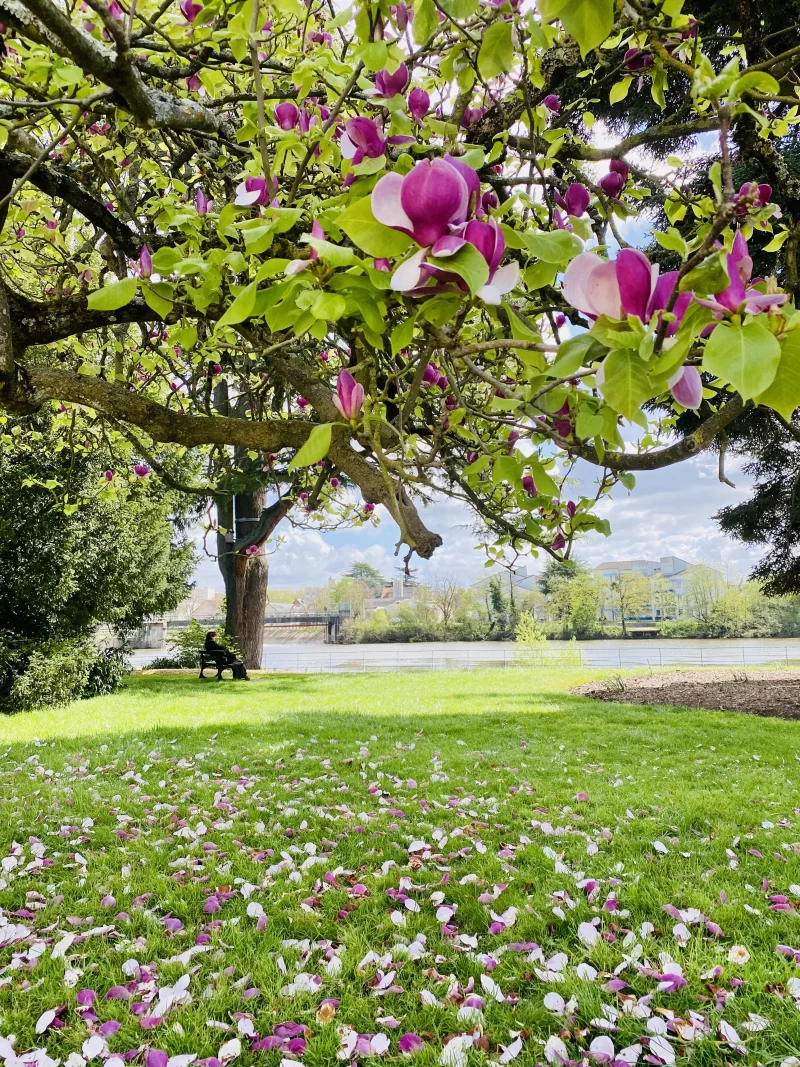 Jardin du Directeur