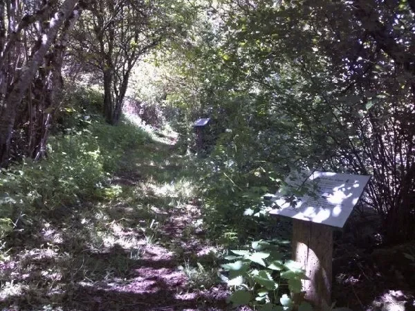Sentier botanique de St-Léons