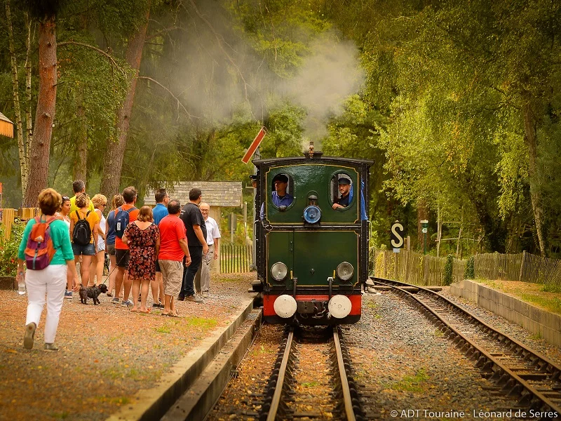 Train à vapeur de Rillé