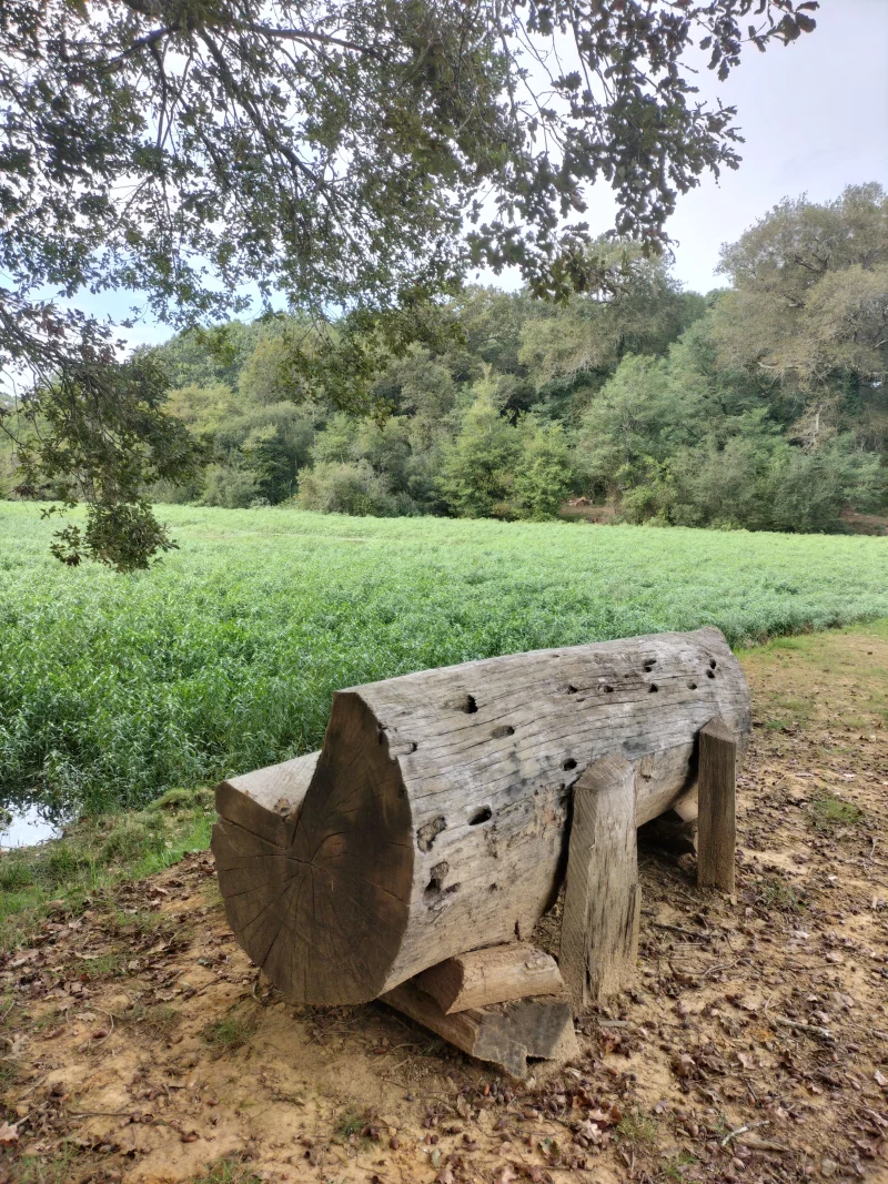 Sentier découverte du domaine de Garanx