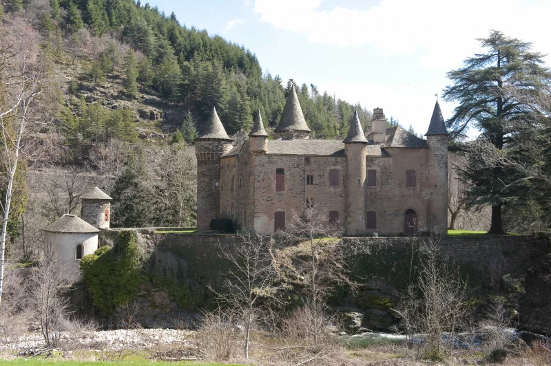 CHATEAU DU CHAMP