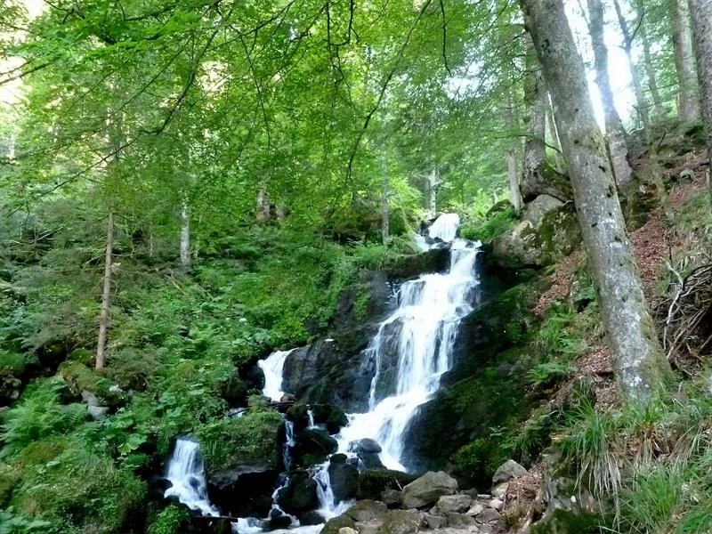 Cascade de la Serva