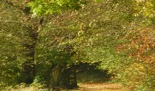 Arboretum forestier des Deux-Sèvres