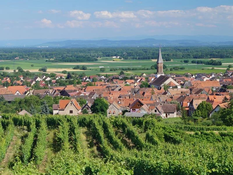 Kintzheim
