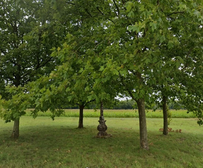 CALVAIRE CULMONT (4)