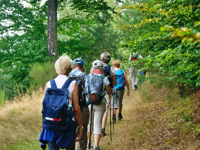 Parc naturel régional des Vosges du Nord