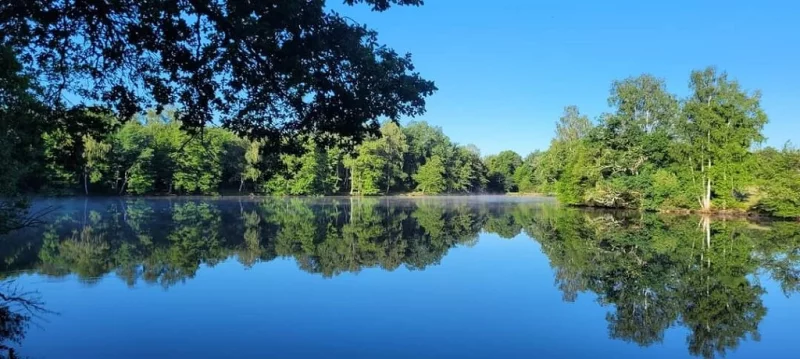 Etang de Chaux