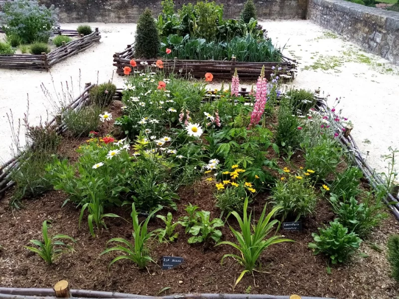 JARDIN DU DONJON DE CHAUMONT