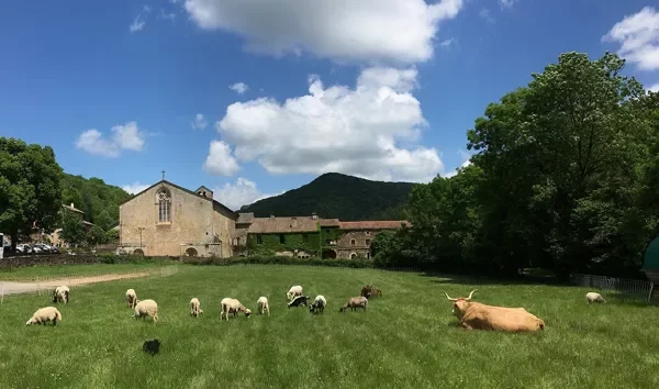 Abbaye de Sylvanès (groupes)