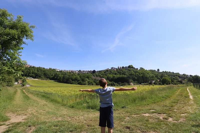 La cuve Saint-Vincent de Laon