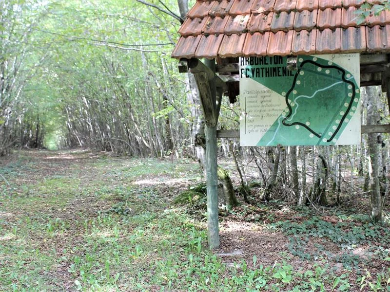 Arboretum de Vathiménil