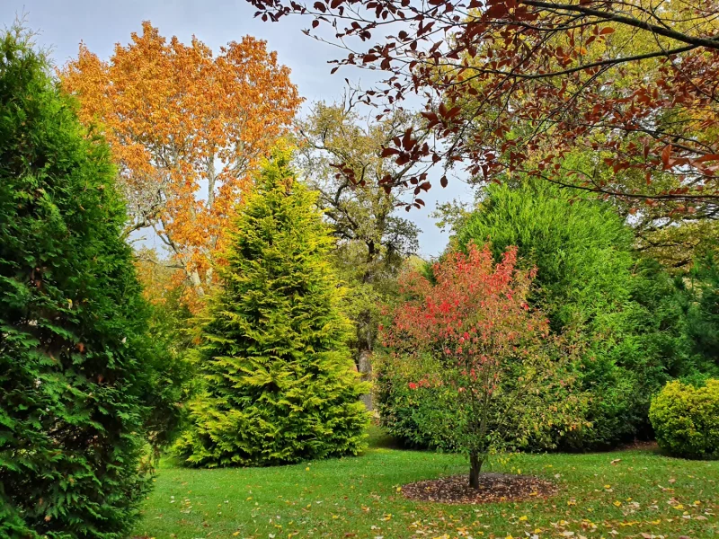 Arboretum communal