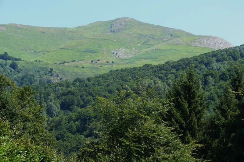 Forêt d'Issaux