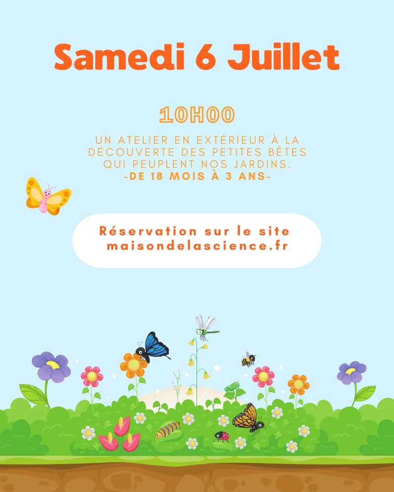 Atelier les petites bêtes