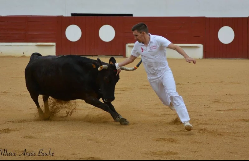 Concours de cocarde